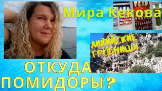 Мира Кекова 2020 ЦЕРКОВЬ СВЯТОГО НИКОЛАЯ. ЛИКИЙСКИЕ ГРОБНИЦЫ. ОТКУДА У НАС ПОМИДОРЫ? | 18+