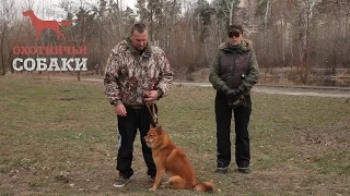 Охотничьи собаки. 18 серия. Карело-финская лайка