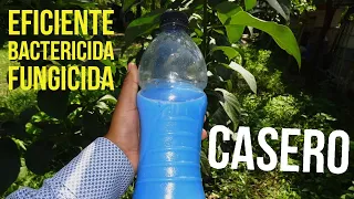 #4. FUNGICIDA Y BACTERICIDA ECOLÓGICO (CALDO BORDELÉS) ¿CÓMO PREPARARLO? ¿EN QUÉ CULTIVO SE APLICA?