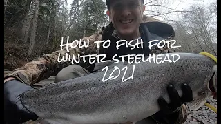 How to Fish for Winter Steelhead 2021