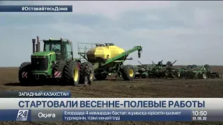 Весенне-полевые работы начались на западе Казахстана