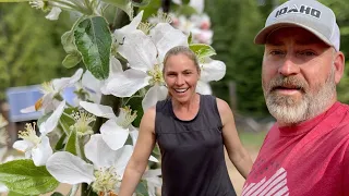 Planting Fruit Trees in our Off Grid Homestead Garden