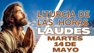 Laudes de hoy Martes 14 de Mayo de 2024 - Liturgia de las Horas - Oración de la Mañana.