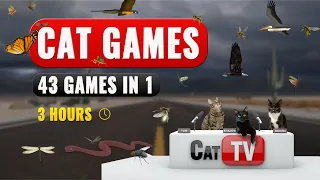 CAT TV | 43 In 1 Cat Games Compilation With Birds and Bugs | Video For Cats | 3 Hours