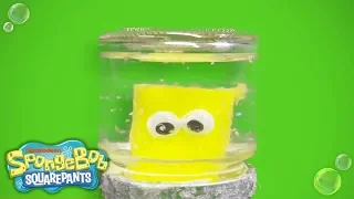 DIY Holiday Gift Guide: Snowglobe | SpongeBob