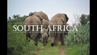 South Africa 2017 - Travel Video