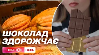 Дефіцит какао-бобів шоколад зросте в ціні