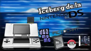 Iceberg de Nintendo DS