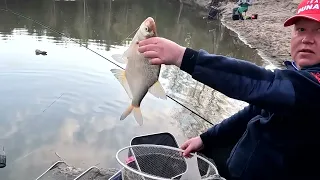 ДУНАЕВ МЕДИА ! Рыбалка друга!!!! Фидер рулит!!! Feeder fishing in Siberia