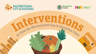 Interventions to Close the Micronutrient Gap in Secondary Cities