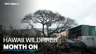 Hawaii wildfires that roared to life a month ago destroy 2,000 homes