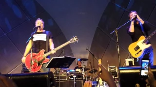 Peter Hook   The Perfect Kiss