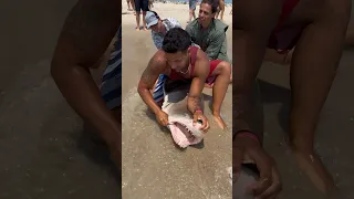 ✅Hook Removal and Release✅ #shorts #fish #fishing #florida #longisland #ny #shark #beach