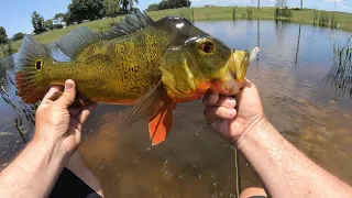 Fishing my private STOCKED pond!!