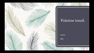 PALATINE TONSILS (Anatomy, Blood supply, Nerve supply, Functions, Applied anatomy)|malayalam |  ASD