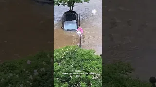 "Stop! What Are You Doing?" Driver Plunges Into Flooded Creek, Climbs Pole