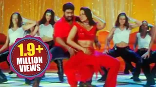 Narasimhudu Songs - Singu Singu - Jr NTR Sameera Reddy