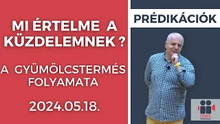 Mi értelme a küzdelemnek ?- a gyümölcstermés folyamata