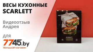 Весы кухонные SCARLETT SC-KS57P56 Видеоотзыв (обзор) Андрея