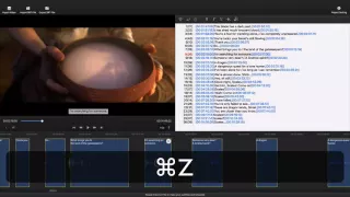 Subtitle Edit Pro Video Tutorial