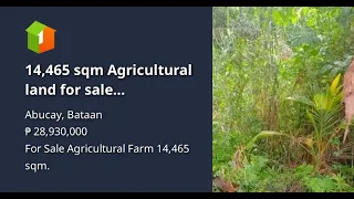 14,465 sqm Agricultural land for sale invMabatang, Abucay, Bataan