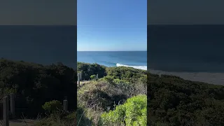 A Perfect Wave at Winkipop (Bells Beach, Australia)