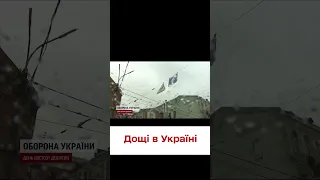 ☔️ Без парасольок – нікуди! До України йде циклон із дощами