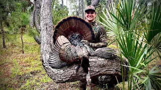 Chasing the Elusive Osceola Turkey on Public Land Using a .410