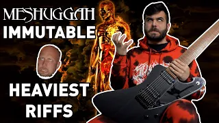 MESHUGGAH - Immutable... But It's Only The Heaviest Riffs