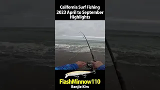 【CA Surf 01, 02, 03, 09, 10, 11, 12】Flashminnow110 - 2022 September to 2023 March Highlight