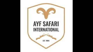 Tur Hunting in Azerbaijan : 1 [Highlights] "AYF SAFARI INTERNATIONAL"