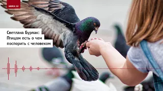 Светлана Бурлак: Птицам есть о чем поспорить с человеком