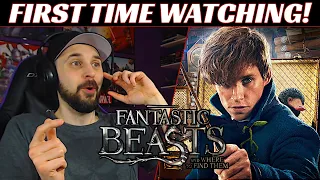 Fantastic Beasts Movie REACTION! Fantastic Beasts and Where to Find Them!