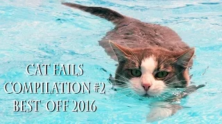 Cats Fails compilation #2 BEST 2016 | Cats jump and falls