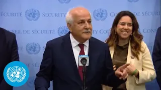 Palestine on Israel and Palestine - Security Council Media Stakeout