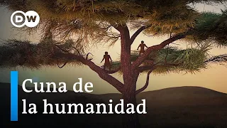 ¿Cómo surgió el ser humano? | DW Documental