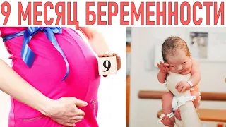 9 МЕСЯЦ БЕРЕМЕННОСТИ | Что происходит с вами и что нужно знать о развитии малыша на 9 месяце
