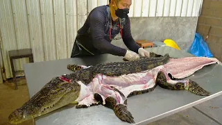 Amazing Crocodile Meat Cutting Skills !! - Thailand Street Food