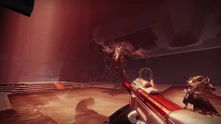 The Death of Rhulk, Disciple of the Witness Vow of the Disciple | Destiny 2: The Witch Queen