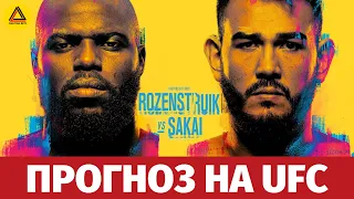 Разбор турнира UFC Fight Night: Rozenstruik vs. Sakai