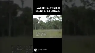 A Skunk Ape..