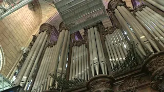 Orgel von Notre-Dame wird saniert - mit Gefühl und Großgerät | AFP