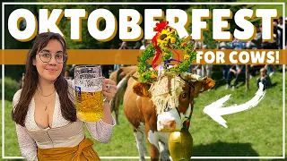 TRADITIONAL Oktoberfest! Americans Explore an Almabtrieb. The Cow and Beer Festival You've Missed