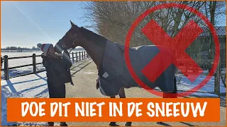 NOOIT doen met je paarden in de sneeuw | PaardenpraatTV