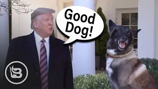 Trump Honors Hero Dog Who Took Down ISIS Leader at the White House