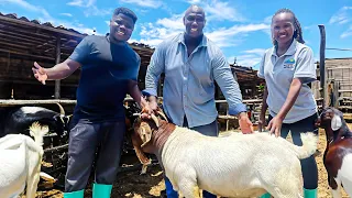 How An African American & Ugandan Lady Built A Profitable Animal Farm!