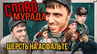 Слово Мурада. Шерсть на асфальте. 1 серия