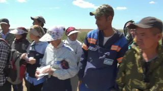 В Астраханской области гастарбайтеры пытались скрыться от бойцов ОМОНа в зарослях сорняка