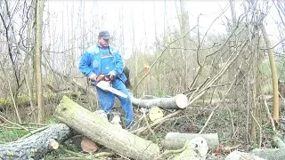 STIHL MS 170 praca w lesie z pilarką.