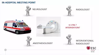 Stroke treatment using AMI network in Moscow - D Skrypnik